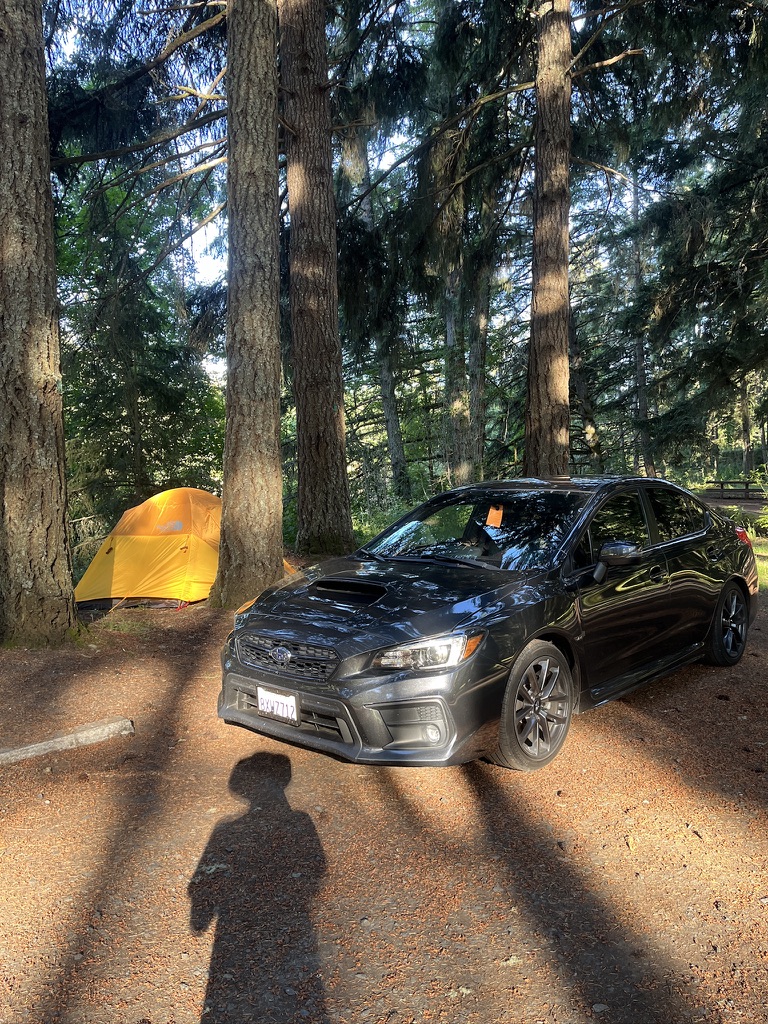 Black sedan parked in a forest campsite with an orange tent pitched among tall pine trees.