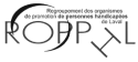 Ropphl Logo.