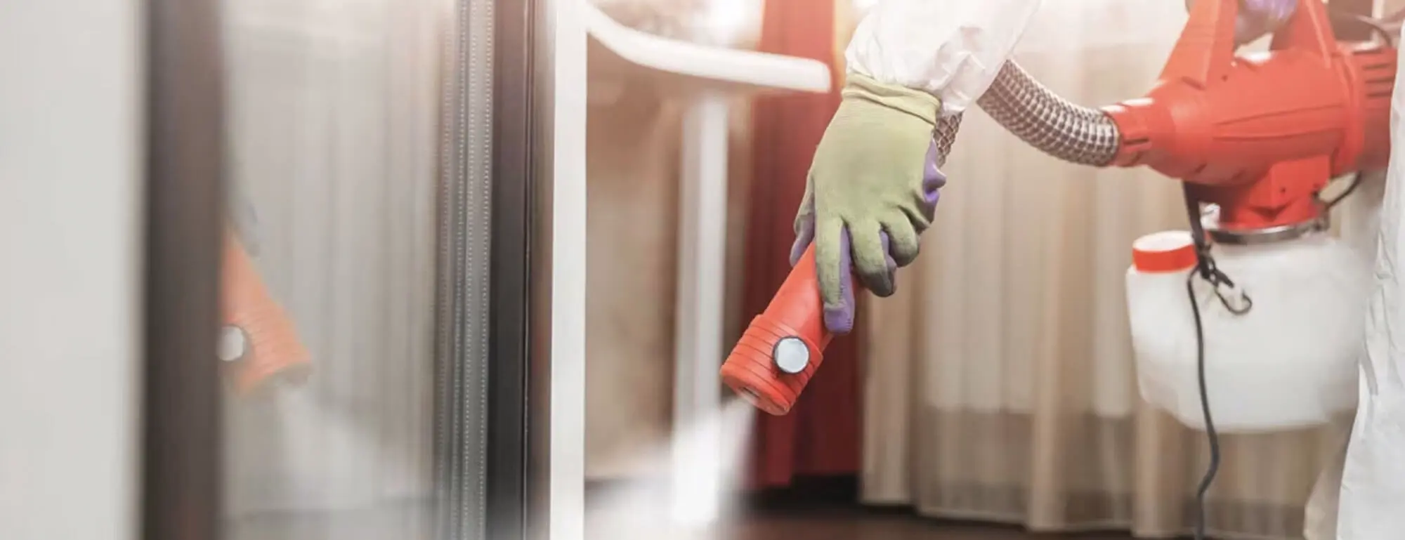 Cimex solution