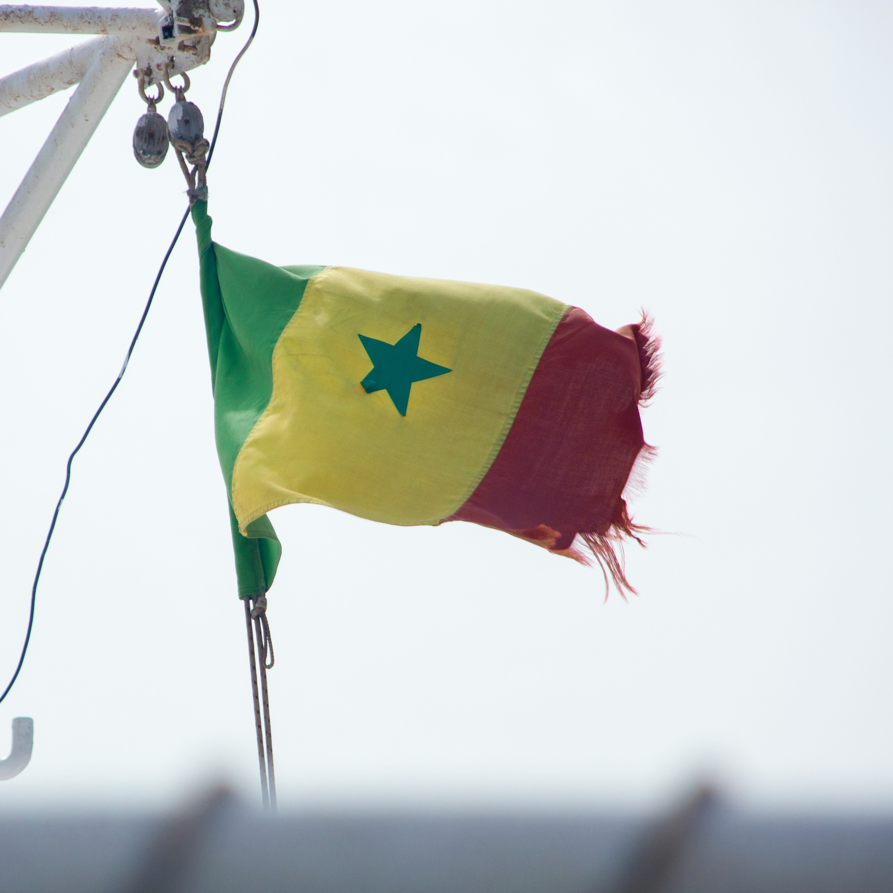 CAS Refers Senegal Presidential Election for Review