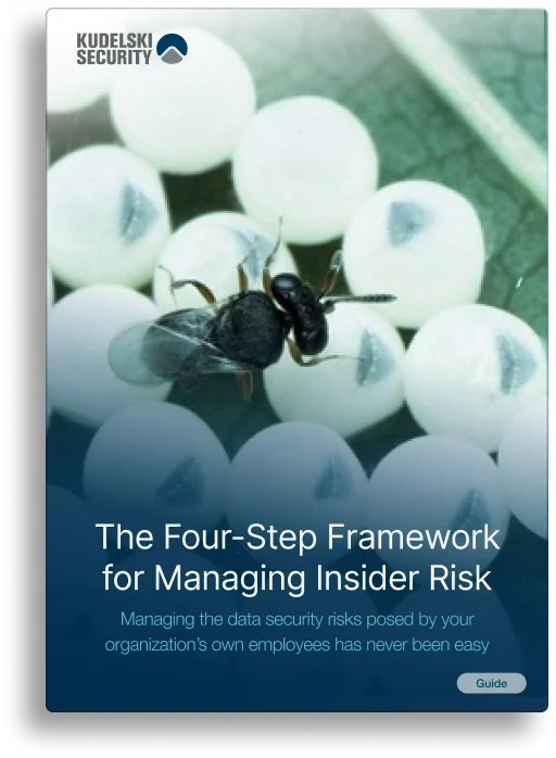 The Four-Step Framework for Managing Insider Risk