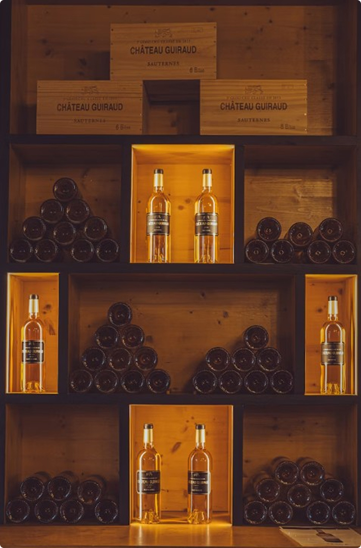 Caves à Vin Sur-Mesure Intégration, Conservation & Design