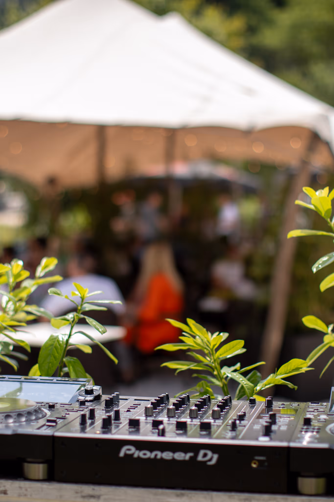 Približna fotografija DJ mešalnika Pioneer DJ z zelenimi rastlinami v ospredju in zamegljenim šotorom na prostem z ljudmi v ozadju.