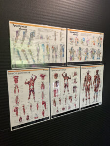 Вертебрологія на Позняках