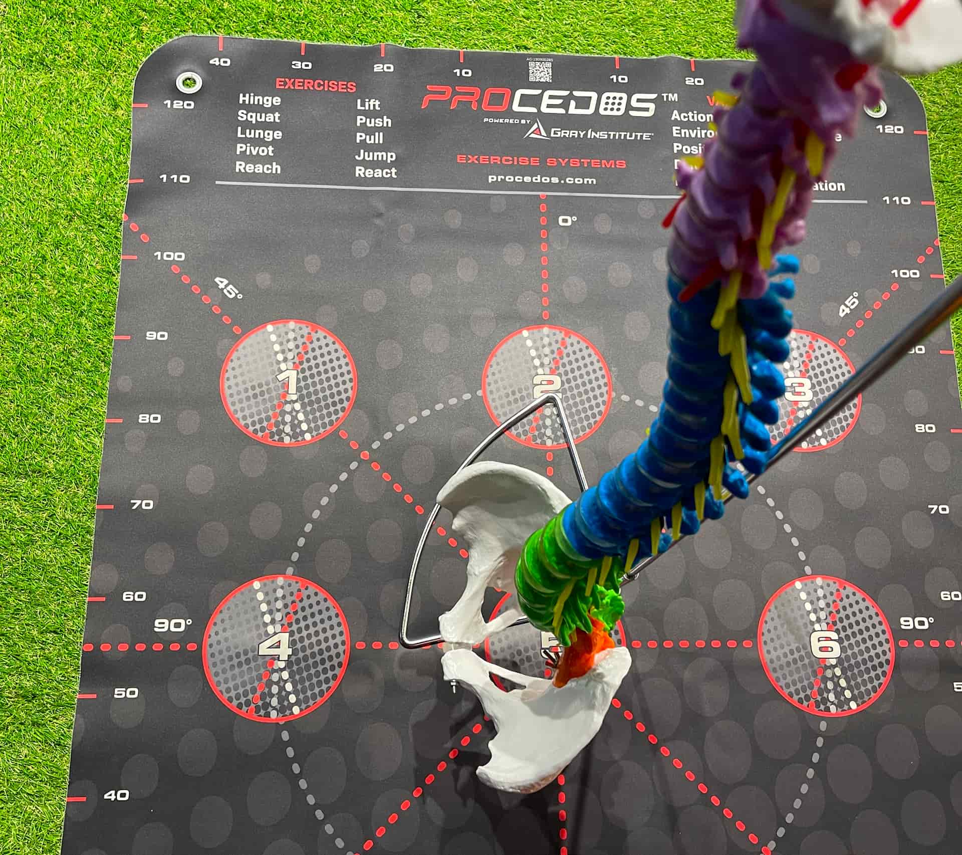 Функціональне тренування з координаційною платформою PROCEDOS в DZHEVAHA GYM - інноваційна система вправ для розвитку балансу, координації та просторової свідомості