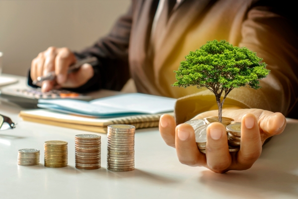 Trading vs. Investing: Which Path to Wealth Suits You?