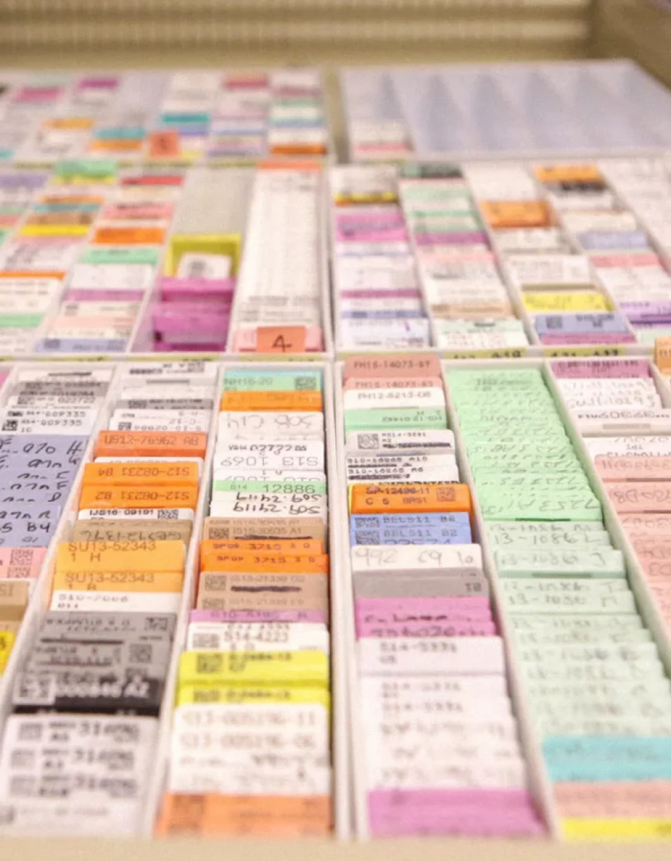 Colorful research cards arranged in rows