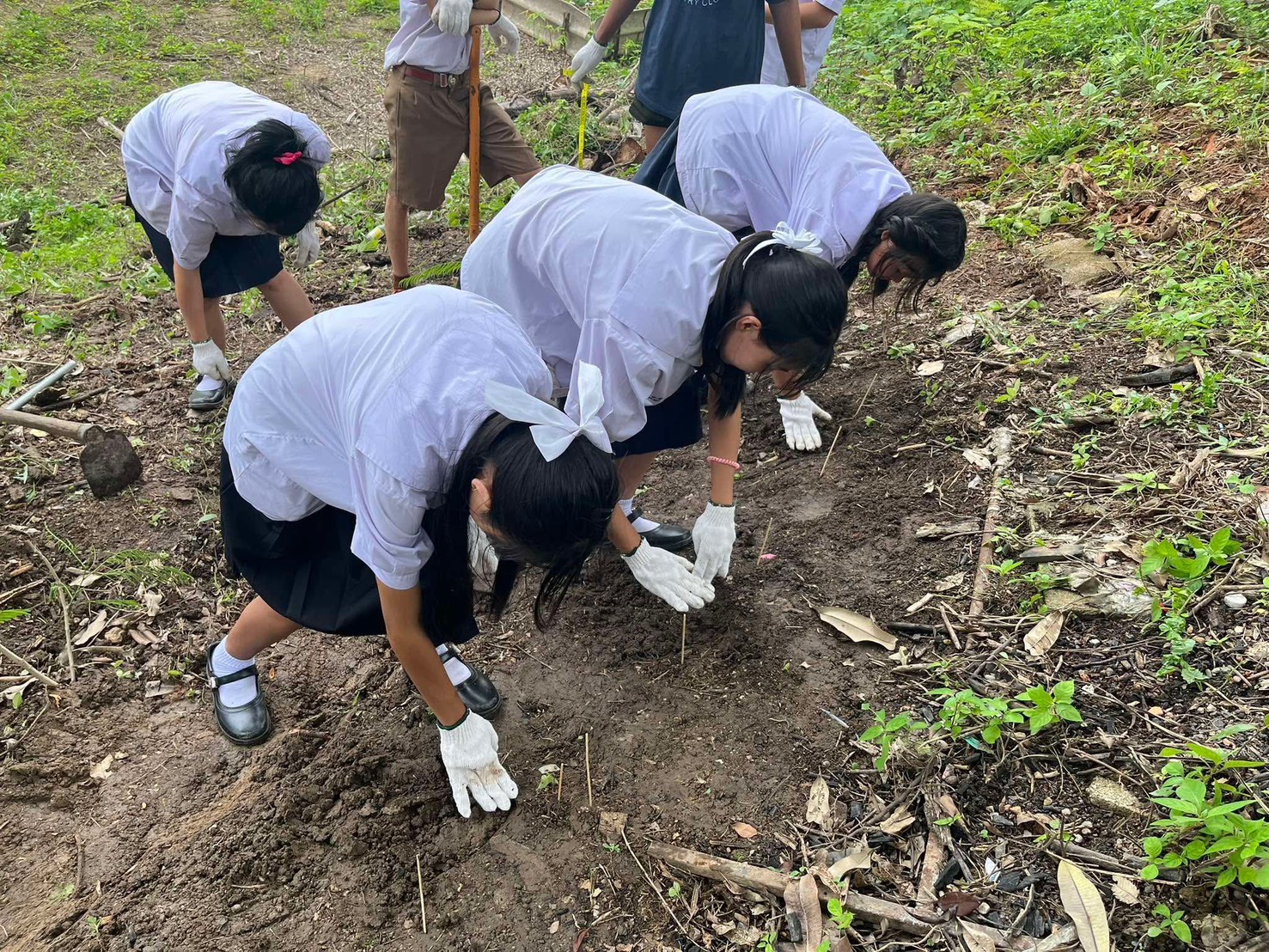 ห้องเรียนเมล็ดข้าวโพดเล็กๆ ที่ปลูกการเรียนรู้ให้เติบโต