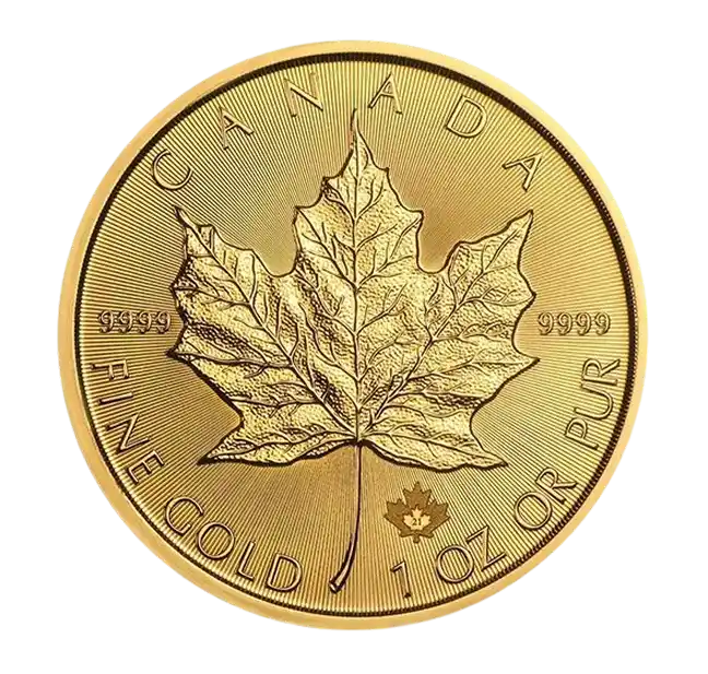 Canadian Maple Leaf 1oz Gold Coin 2025 main
