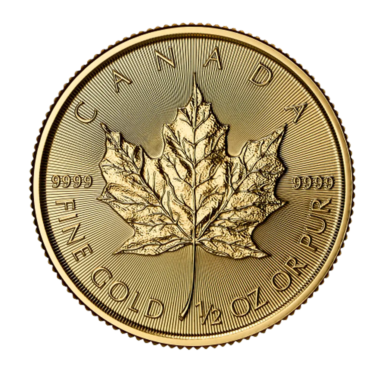 Canadian Maple Leaf 1/2oz Gold Coin 2025 main