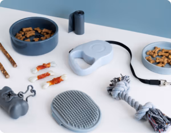 Accessoires pour chiens et chats