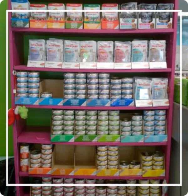 L'alimentation humide