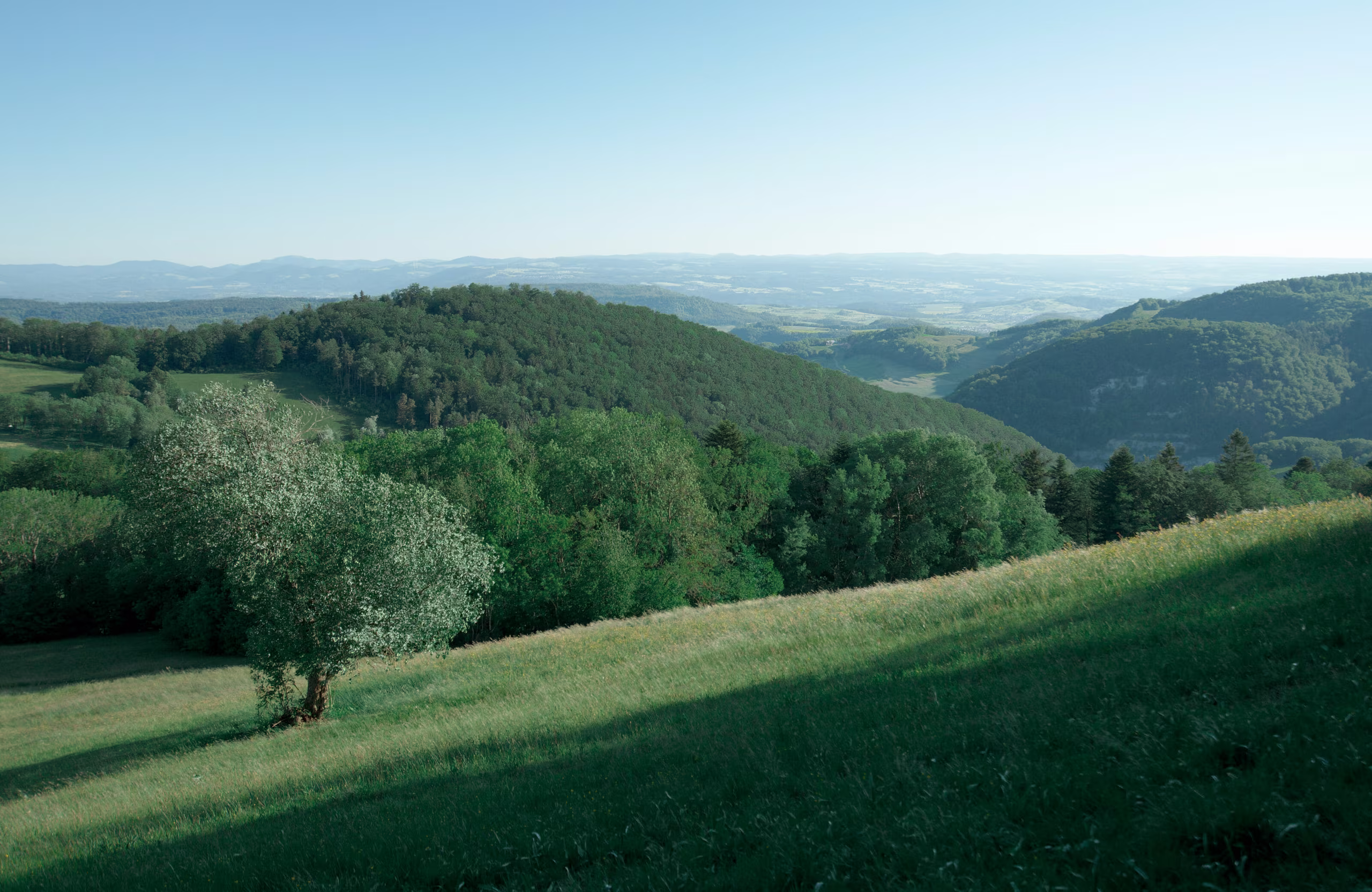 Vue panoramique sur les collines et forêts sauvages de Suisse, illustrant le cadre naturel préservé des séjours itinérants SNUUG.