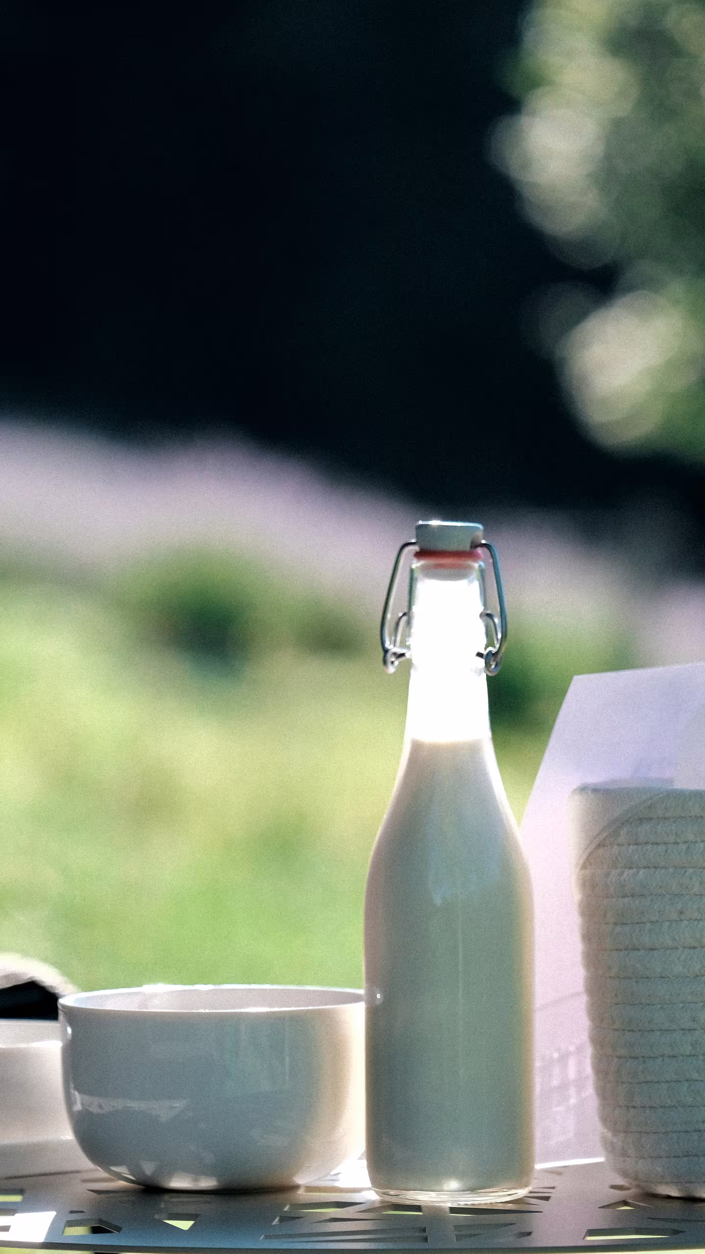 Bouteille de lait frais et bol sur une table en plein air, petit-déjeuner mettant en valeur la poésie du terroir et les produits de Suisse.