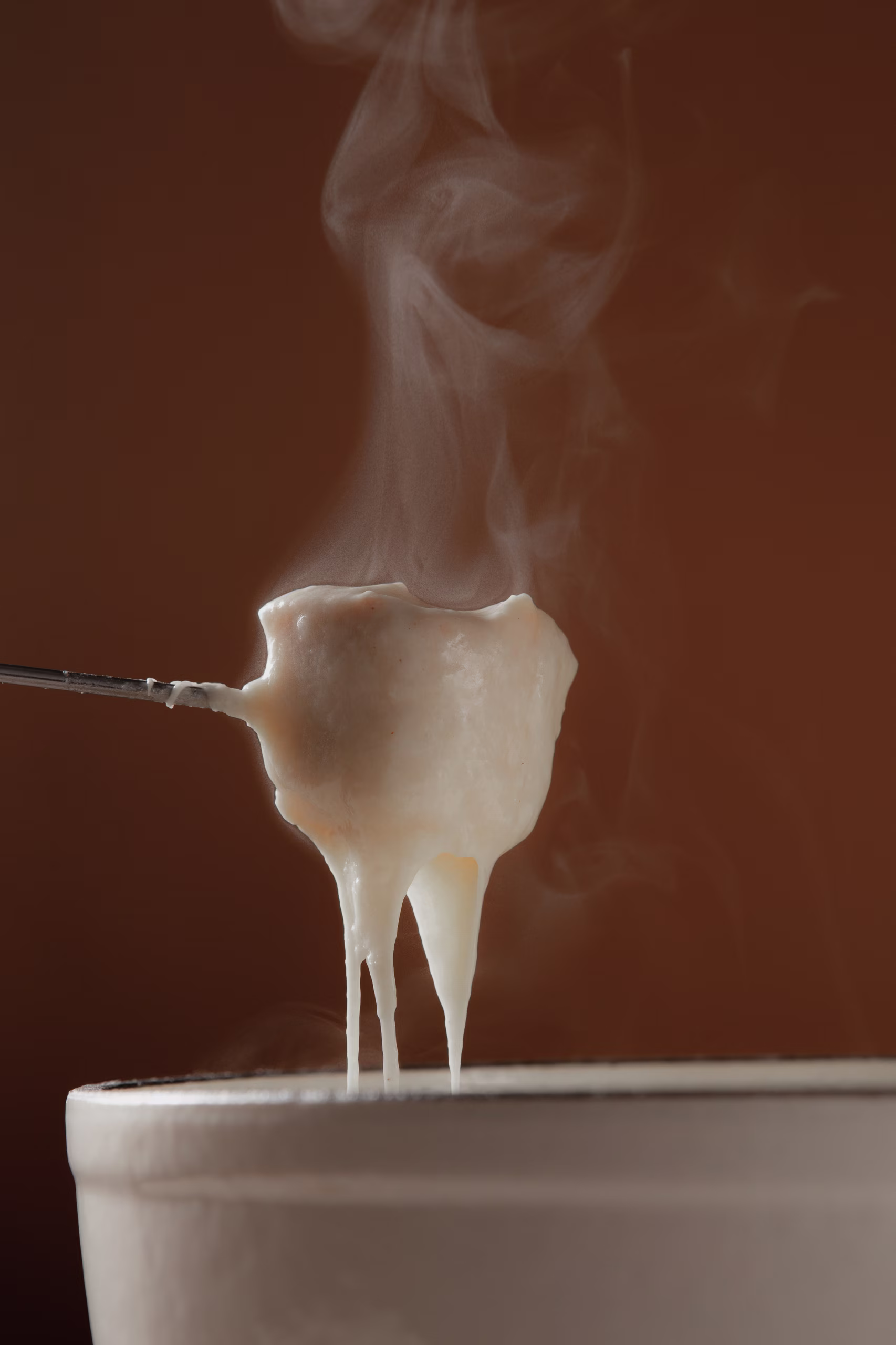 Dégustation d'une spécialité culinaire suisse fondante dans un écrin de nature, expérience gastronomique 4 étoiles au cœur d'un séjour éphémère SNUUG.