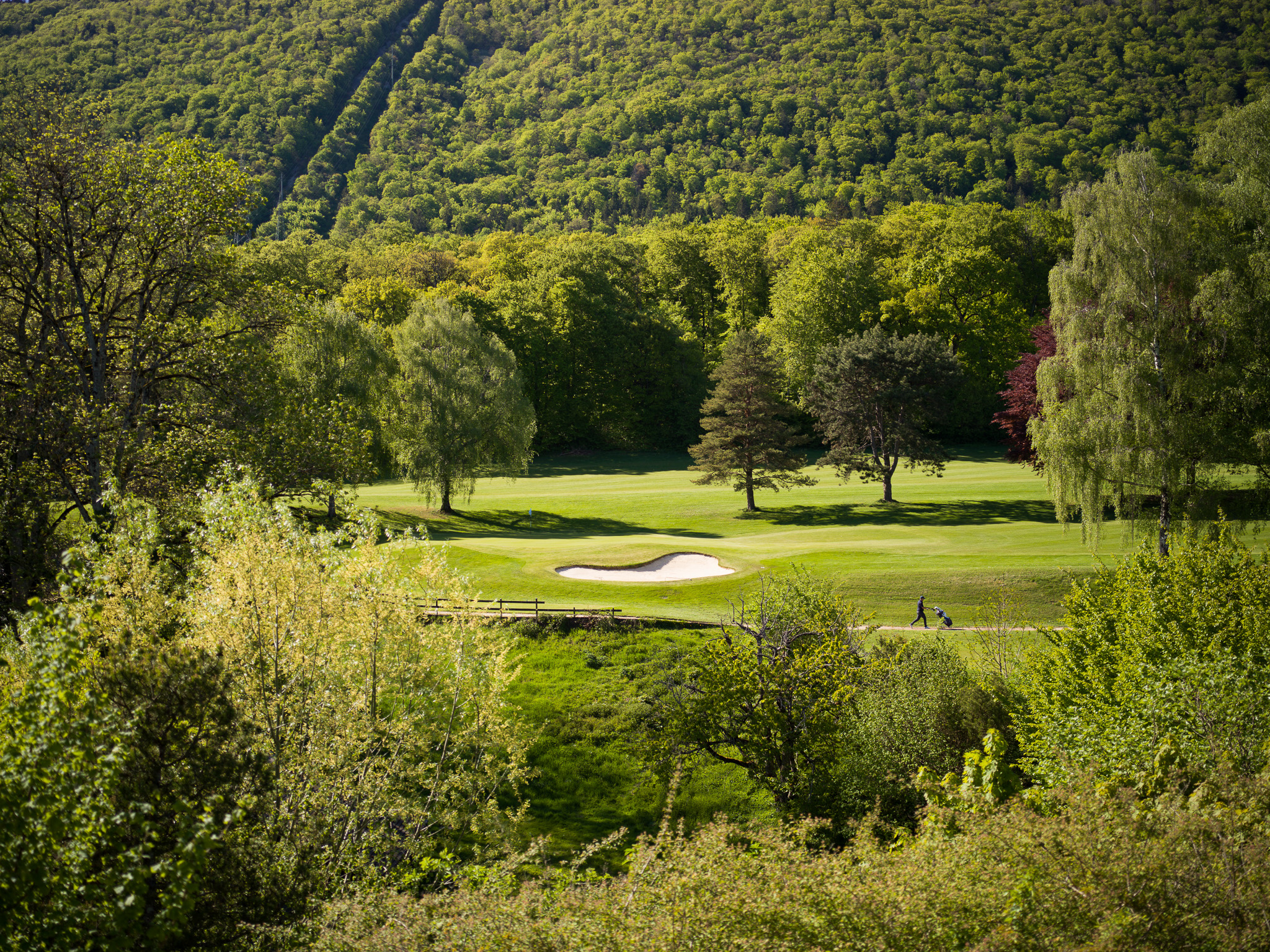 Vue panoramique d'un terrain de golf éphémère SNUUG en Suisse, intégrant l'éco-responsabilité à la haute hôtellerie au cœur de la nature.