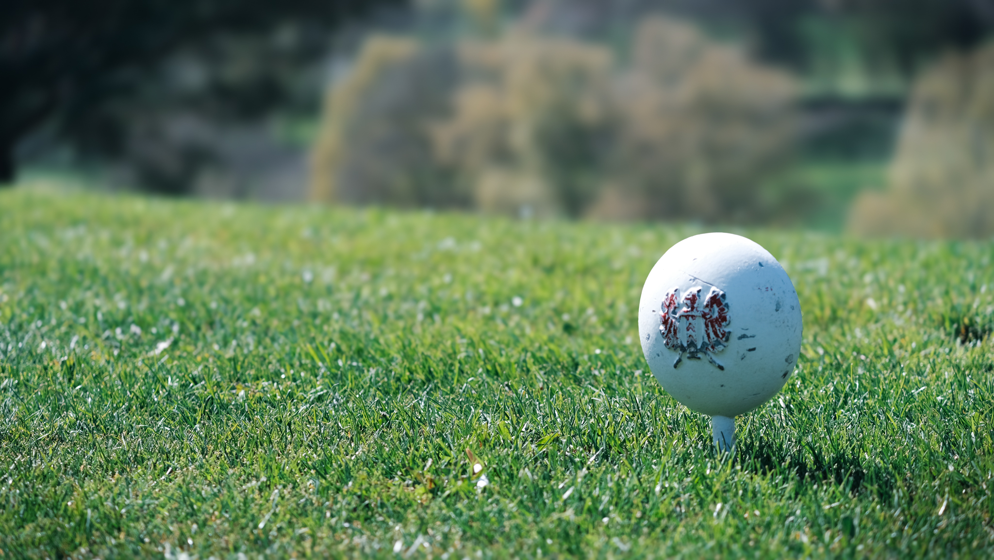 Balle de golf posée sur un tee, illustrant une expérience de loisir raffiné lors d'un séjour quatre étoiles avec le concept itinérant SNUUG.Fleurs blanches (image_e63d2d.png)Gros plan sur la flore sauvage suisse, soulignant l'engagement de SNUUG pour un tourisme durable et une immersion totale sans empreinte.