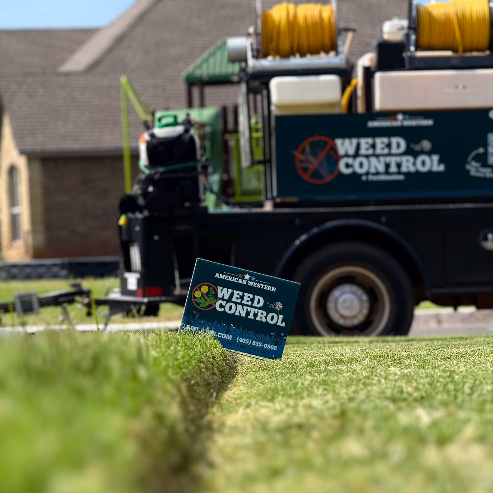 Lawn pest control services near me – protect against grubs, fleas, and ticks