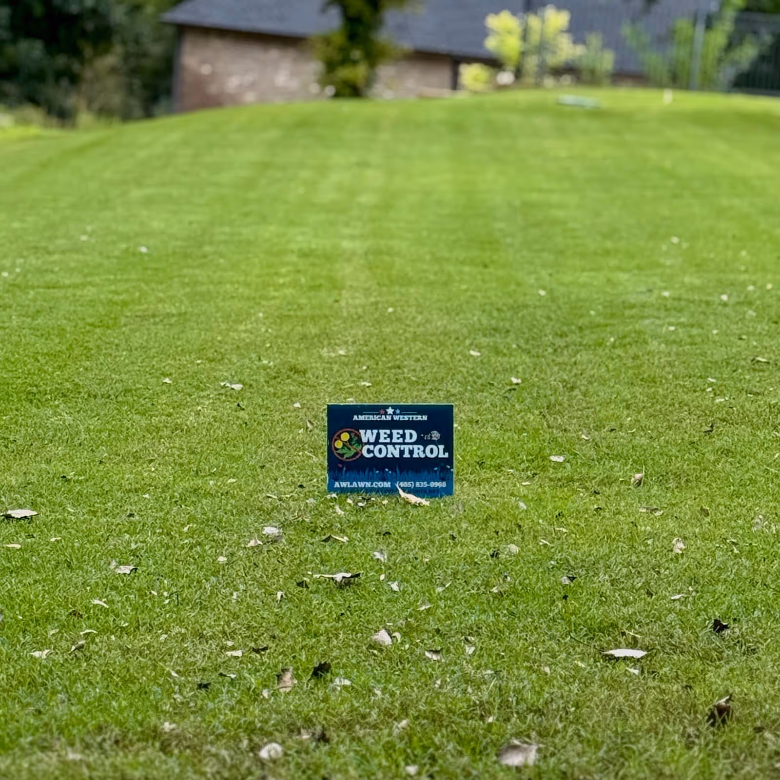 Freshly mowed grass and weed control near me in Edmond, OK