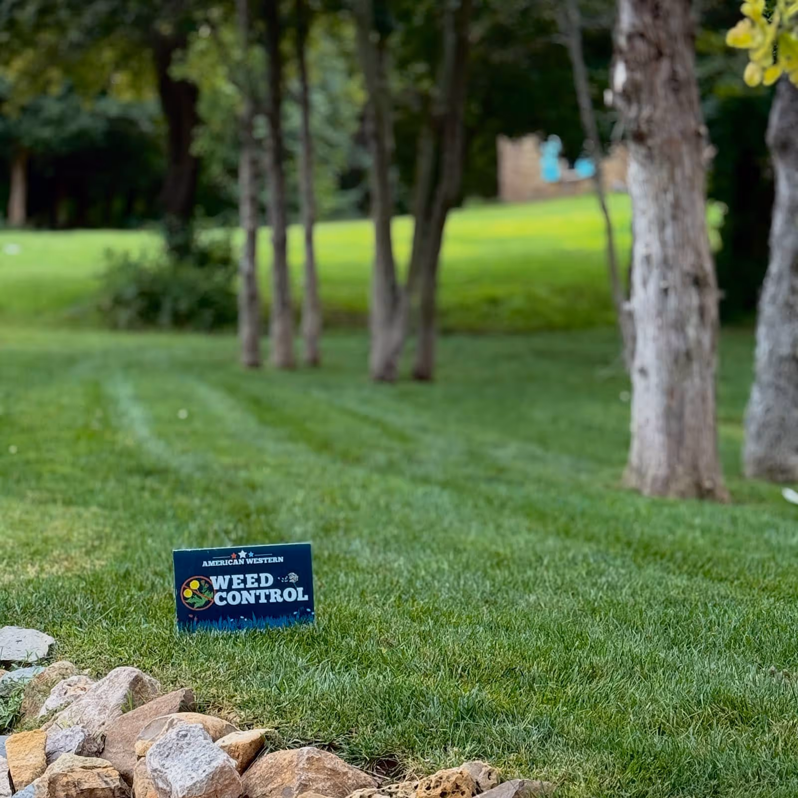 Thick, Green Lawns Start Here – Professional Lawn Renovation Near Me