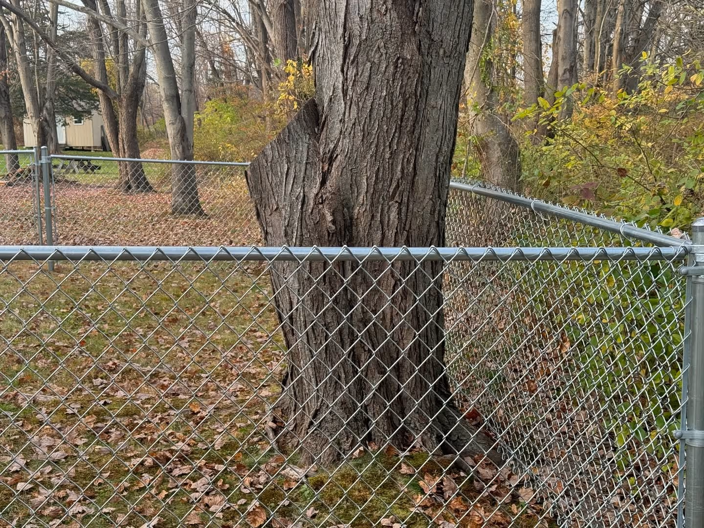 Raised deck with black aluminum railings and stairs at a modern home.