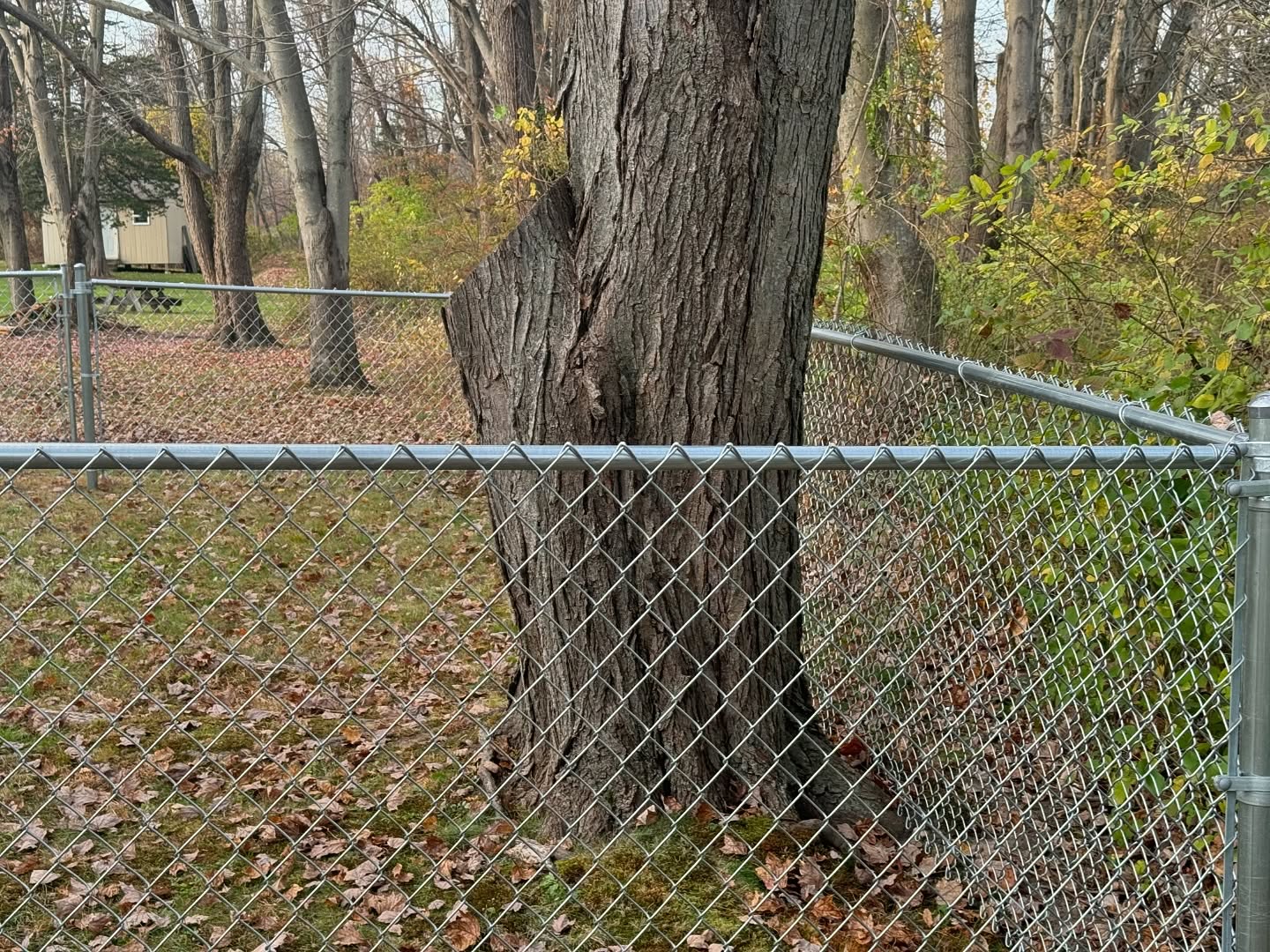 Raised deck with black aluminum railings and stairs at a modern home.