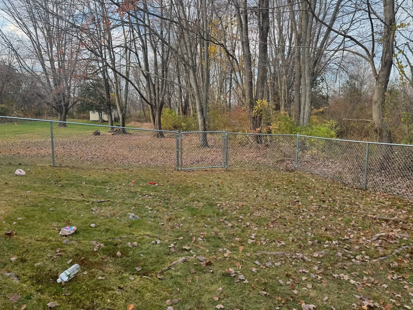 Composite backyard deck with black metal railings and lattice skirting.