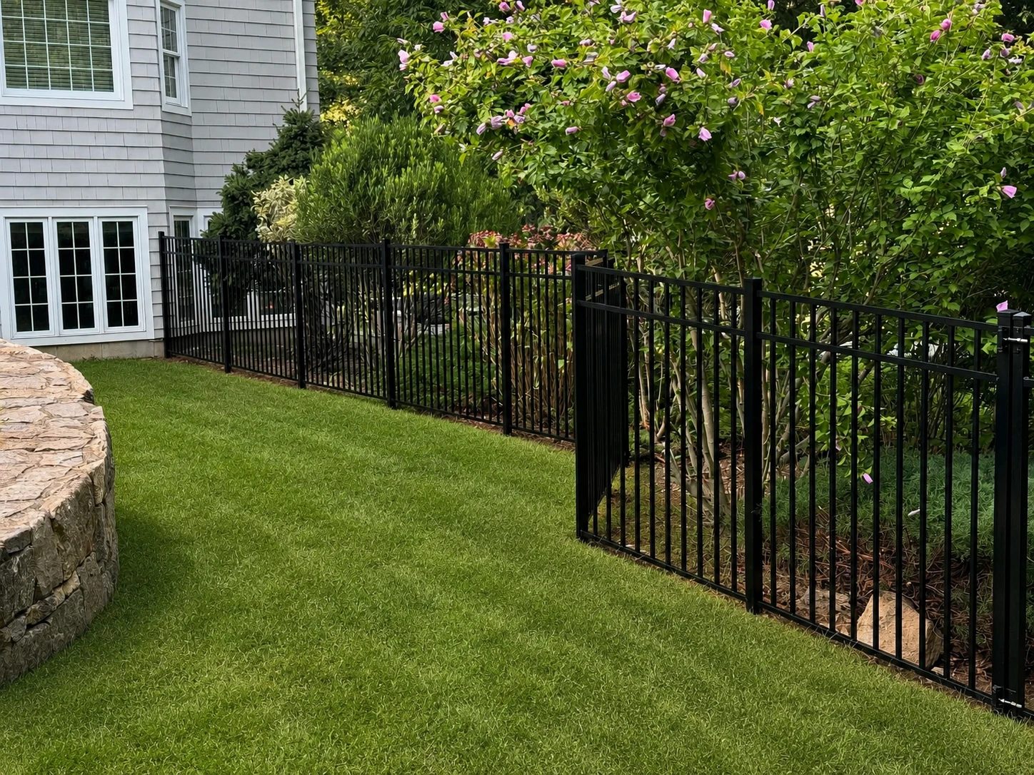 Black aluminum fence bordering a backyard garden with flowering shrubs and clean grass.