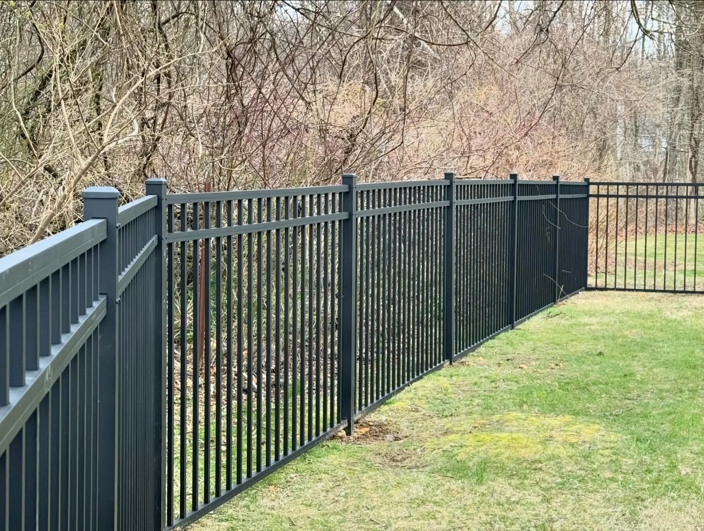 Black aluminum fence with narrow picket spacing along a wooded property.