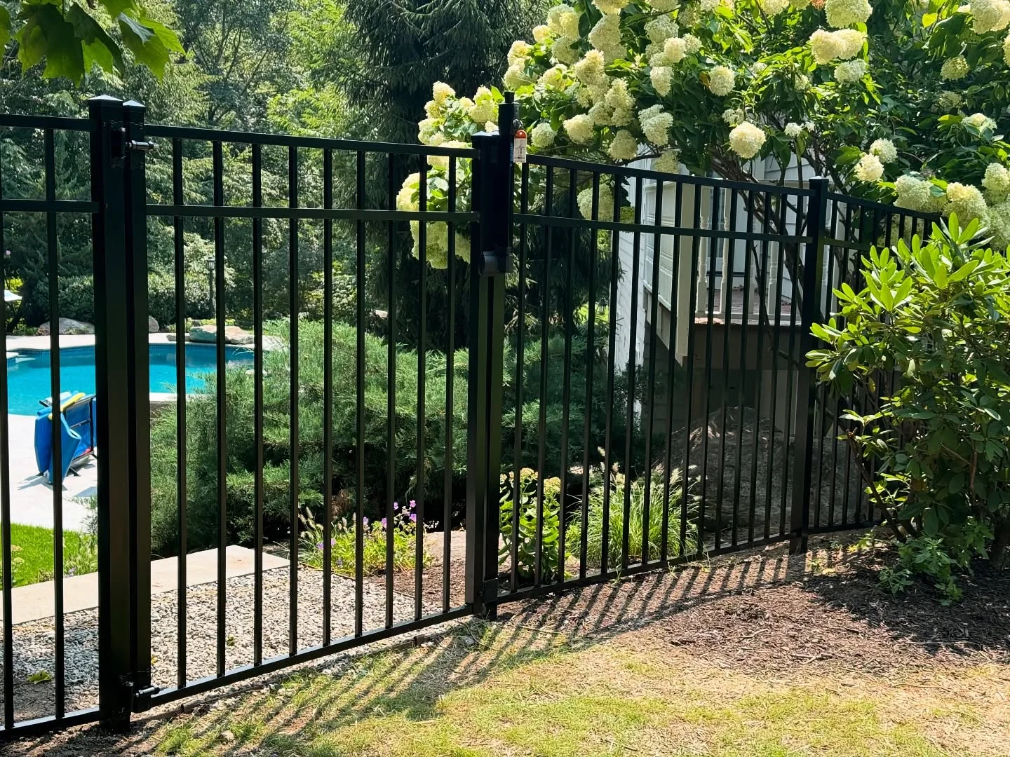 Black aluminum pool fence enclosing a residential backyard beside a wooded property.