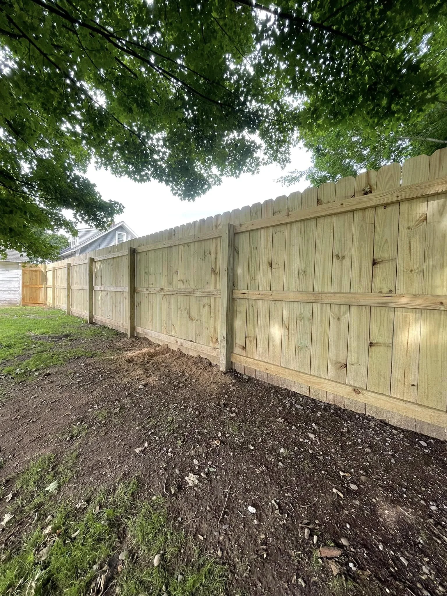 Pressure-treated wood privacy fence with dog-ear pickets along a shaded backyard.