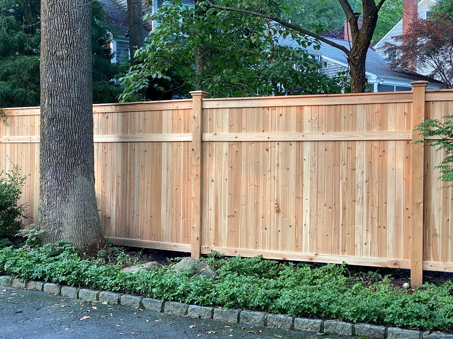 New cedar privacy fence built around mature trees and groundcover in Wilmington, DE.