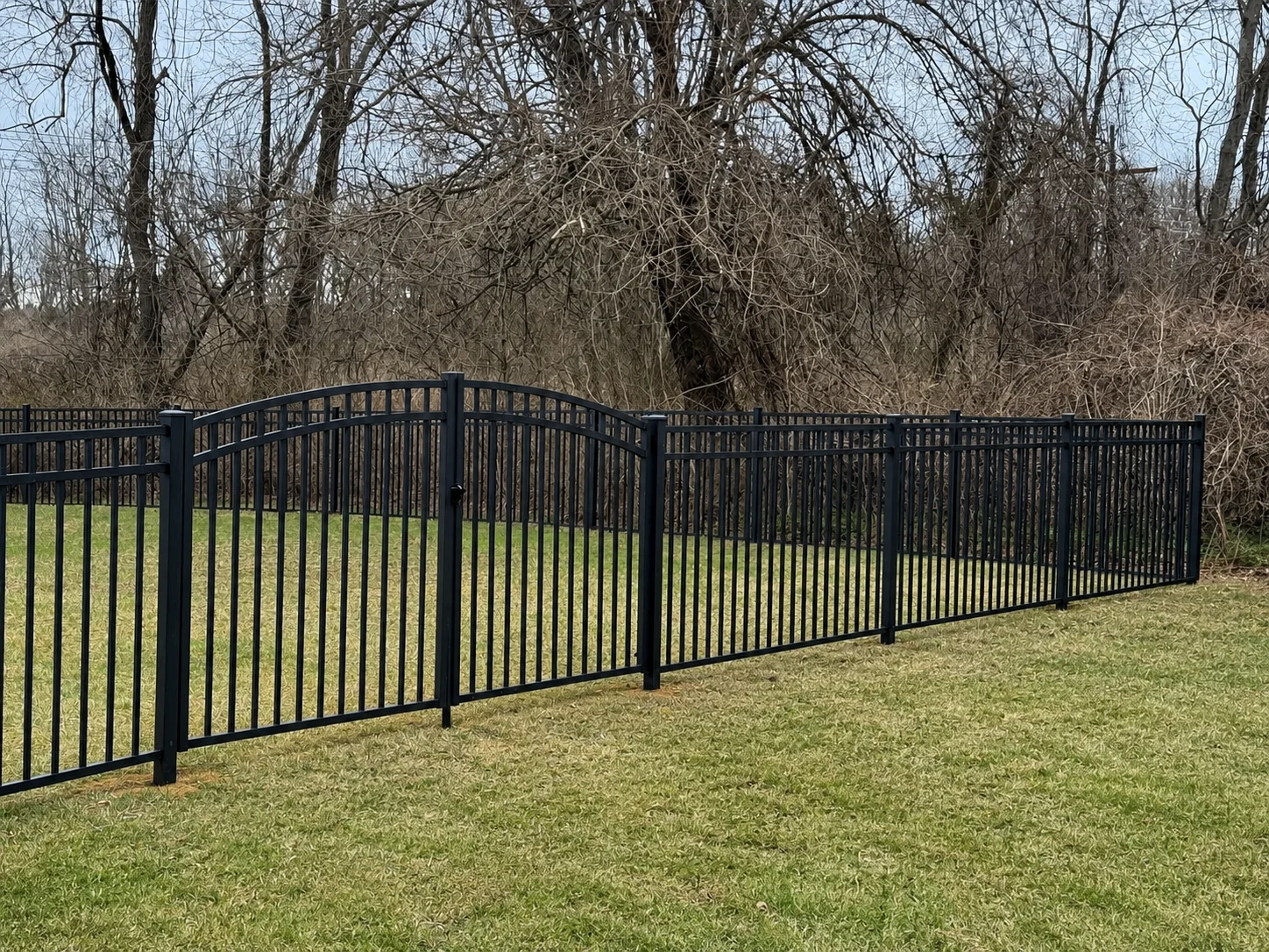 Black aluminum fence with an arched gate across a wooded residential yard in Delaware.