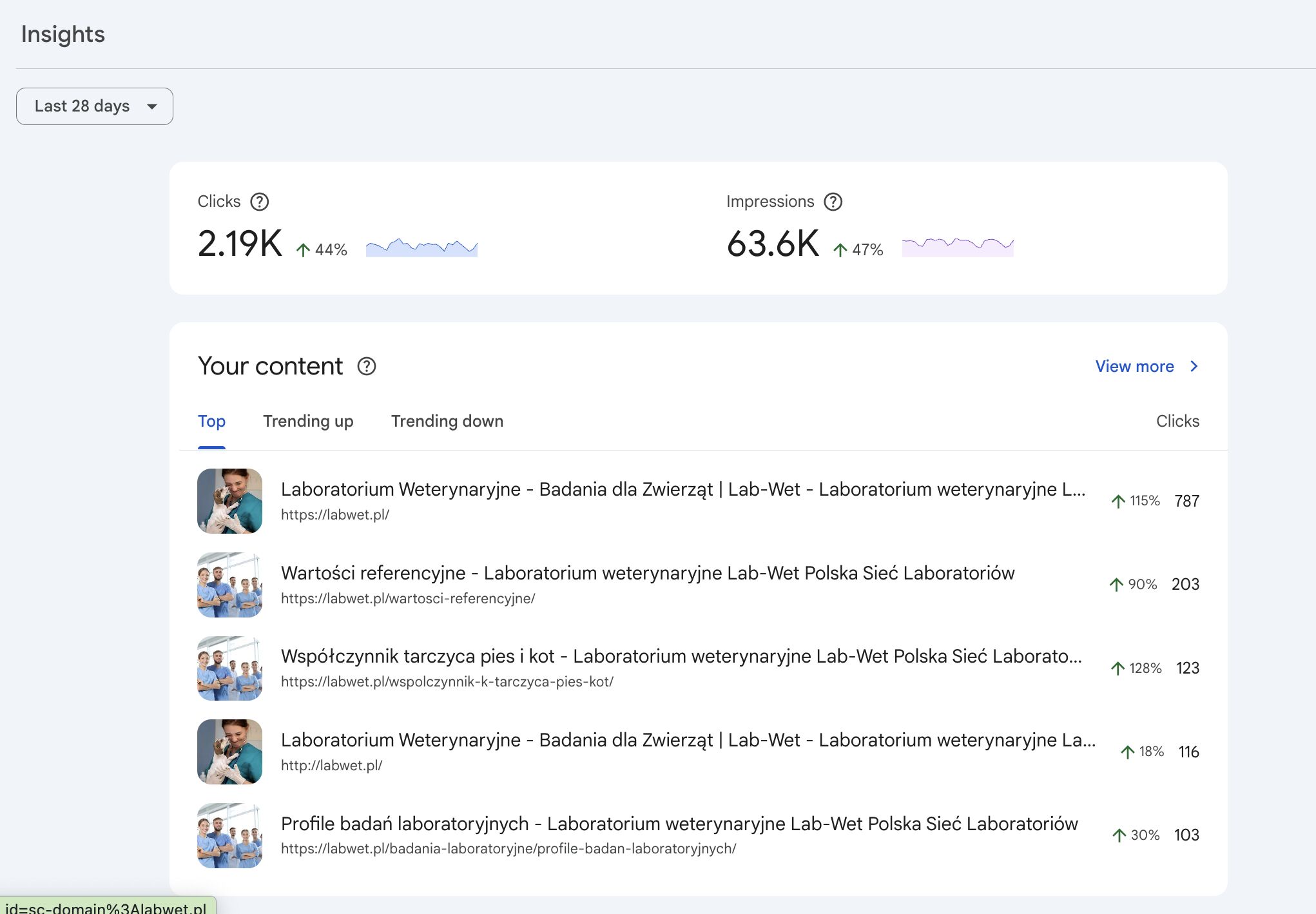 Wyniki Lab-Wet w Google Search Console