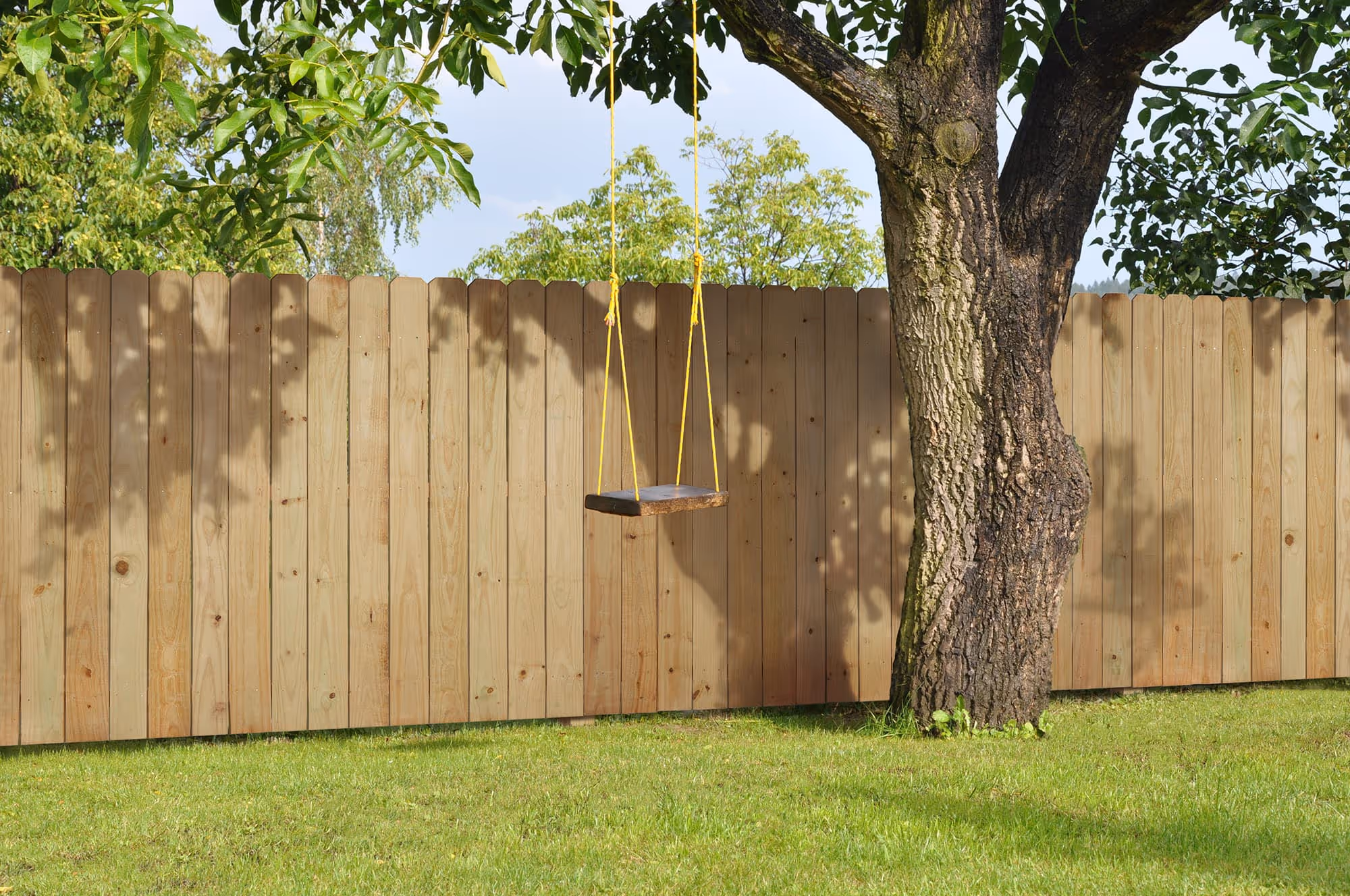 A tree with a swing in front of a pressure treated fence.