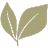 Leaves favicon