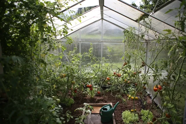 Gardening