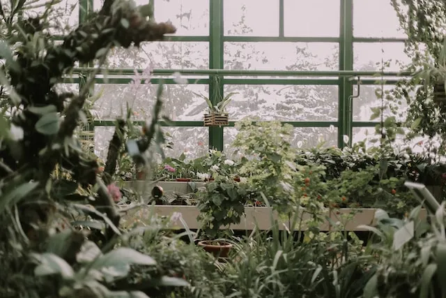 Gardening