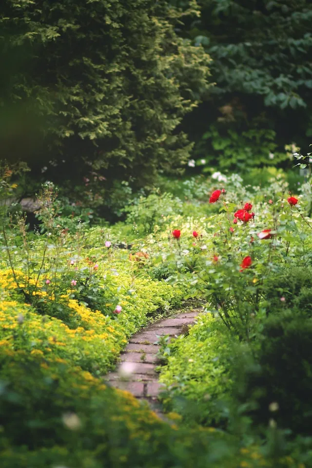 Landscape Design
