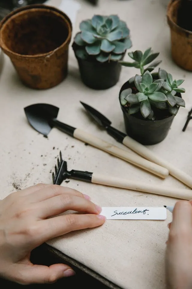Mini Garden Tools