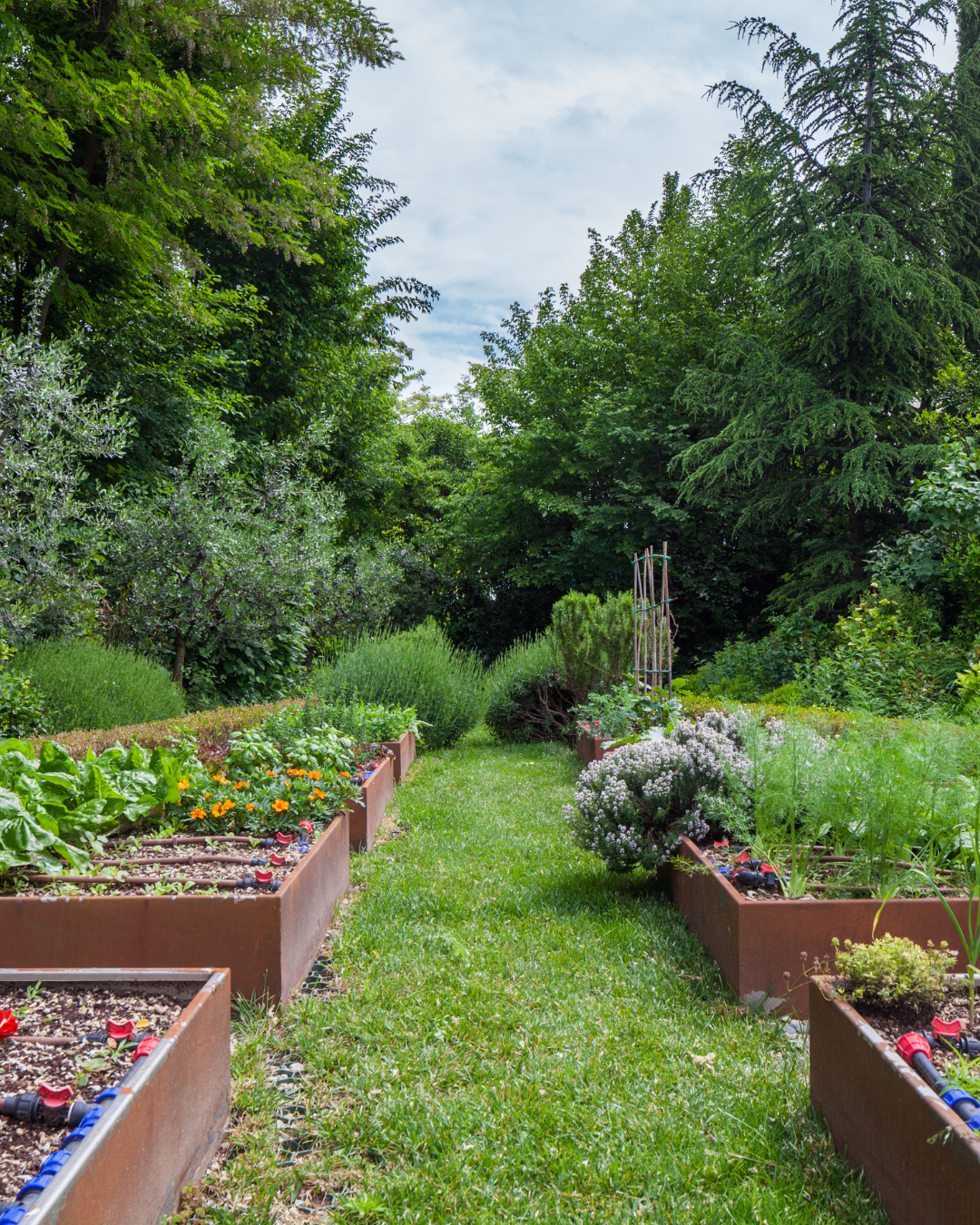 Landscape Design