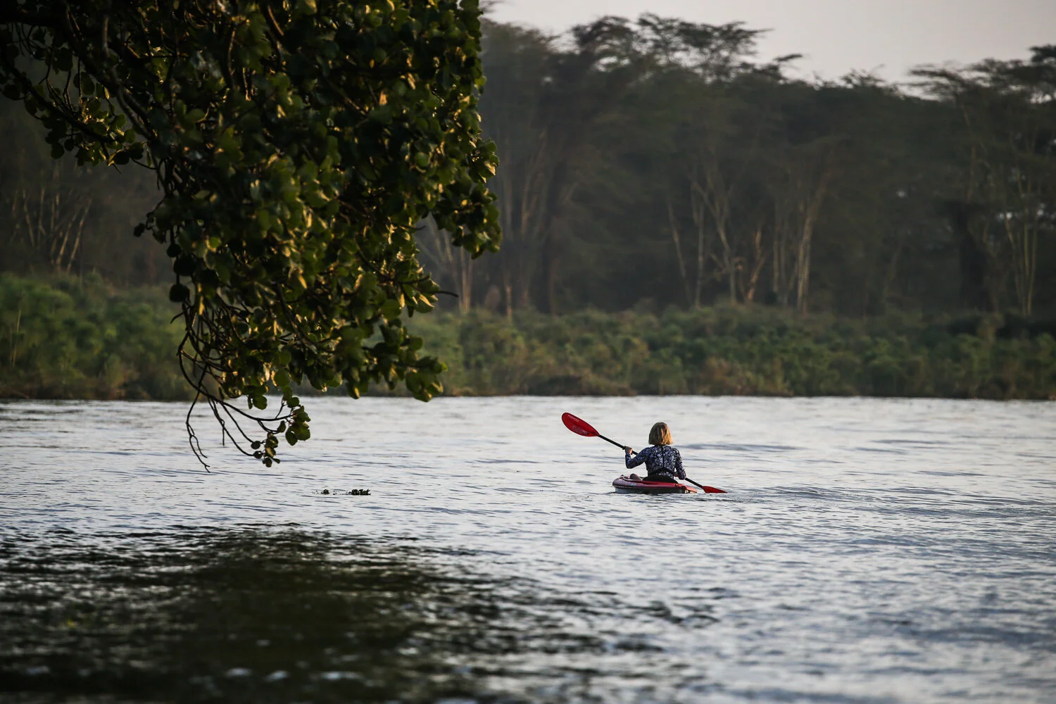 Activities — Ajabu House