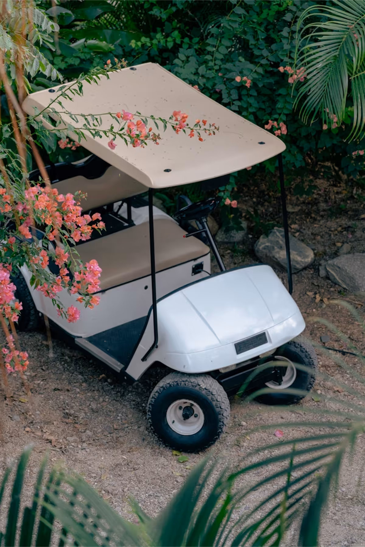 golf cart rentals on a private property