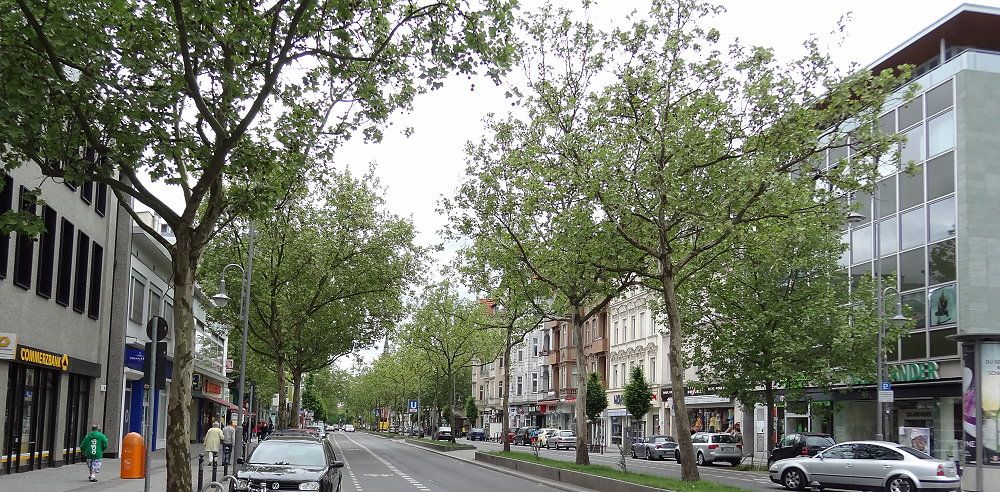 Schloßallee in Berlin Steglitz-Zehlendorf