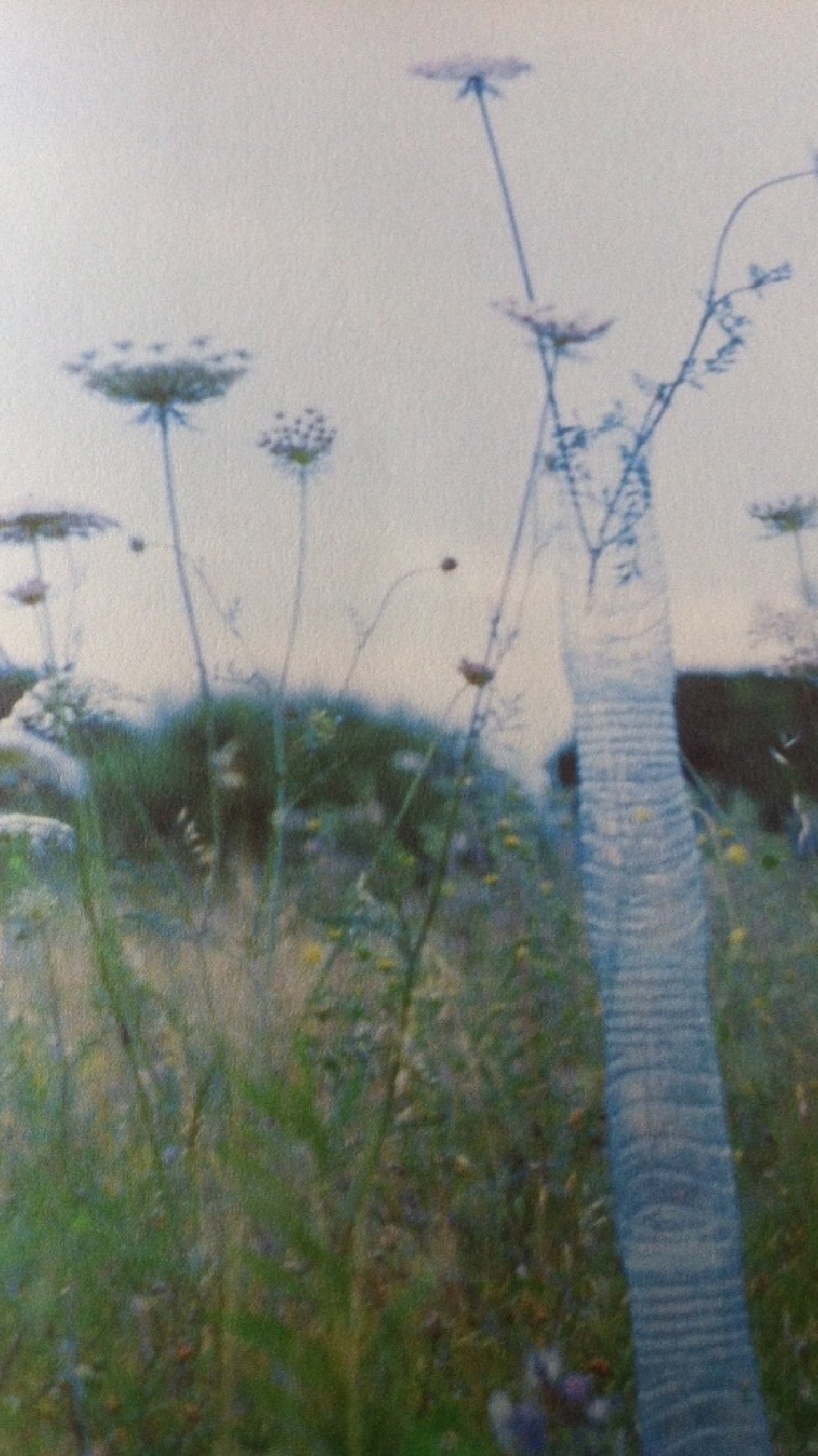 2025 Marketing Predictions: Key Trends Shaping the Future of Branding and Digital Strategy. 