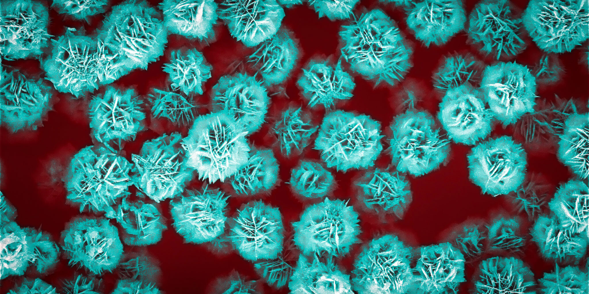Flower Particles for Ultrasound-Guided Drug Delivery
