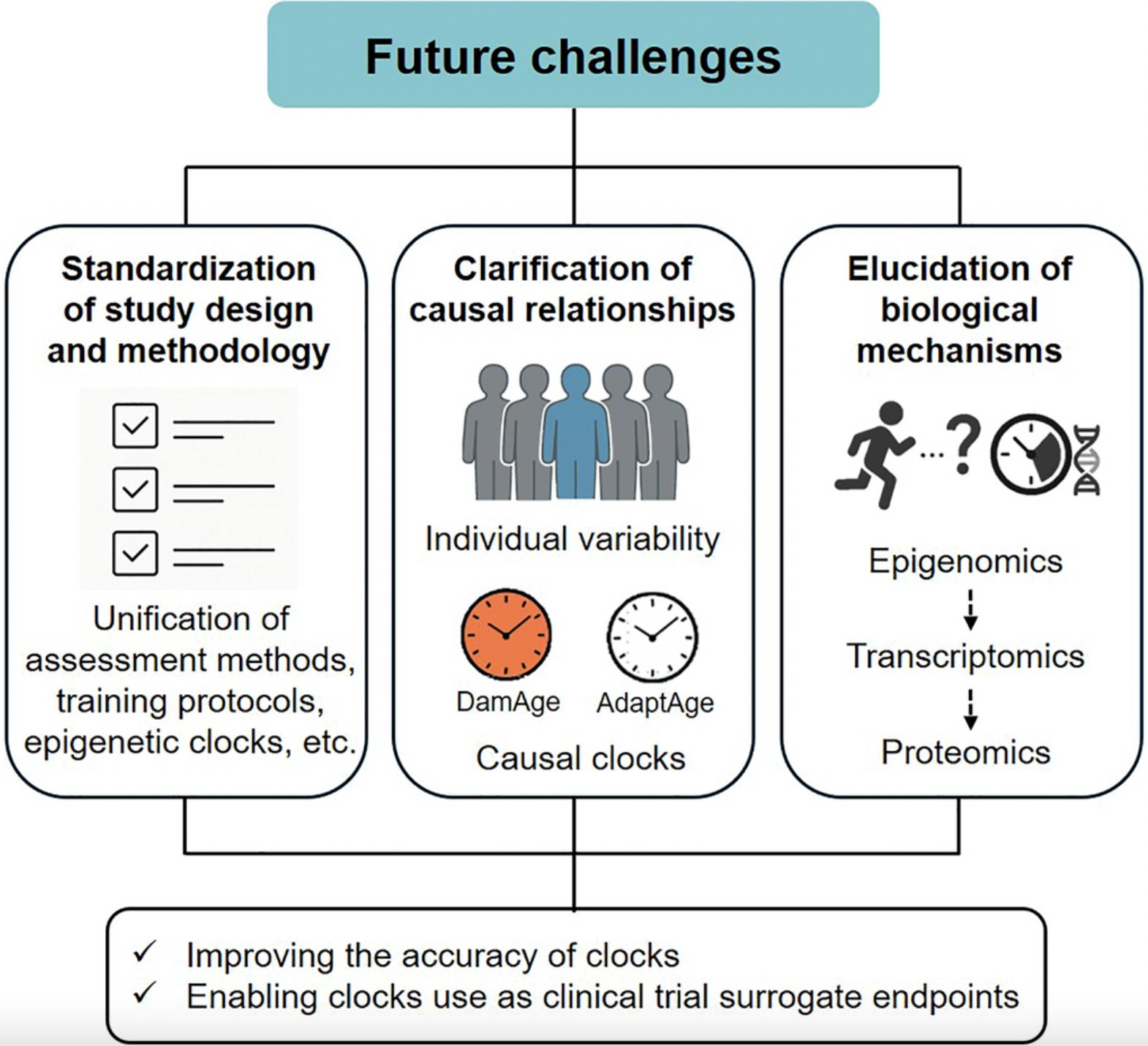 Physical Movement Reverses Molecular Aging: Unlock Epigenetic Health Benefits