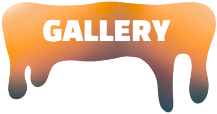 Button to see the gallery with pictures of the band