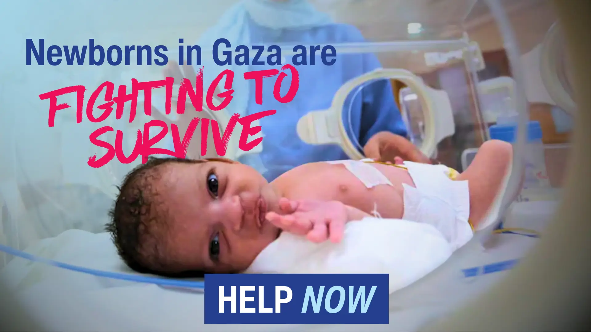 Gaza's newborns are dying this Ramadan, and you can save them 💔