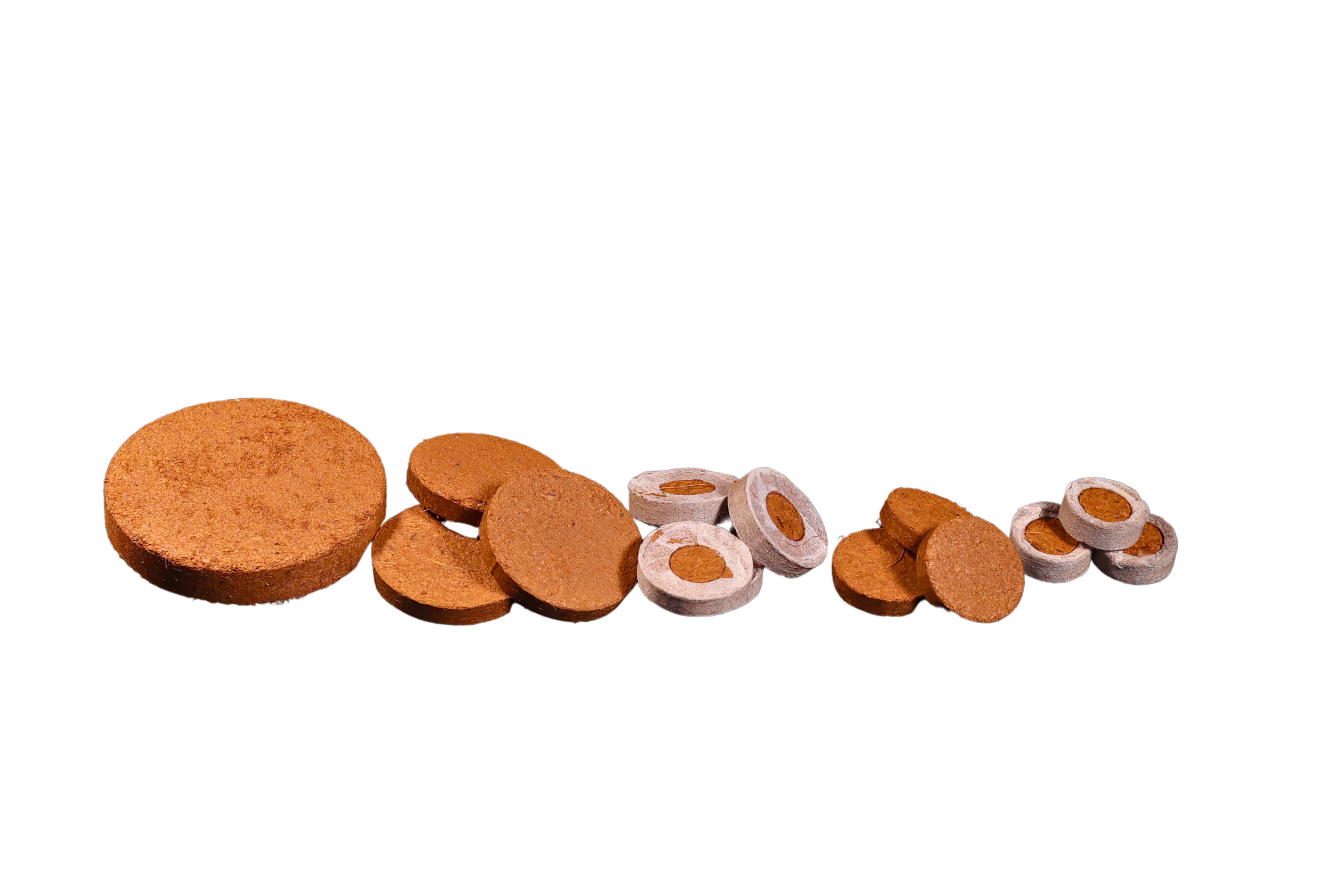 Assorted sized coco coir disks displayed as eco-friendly growing substrates for B2B greenhouse cultivation and sustainable plant nurseries.